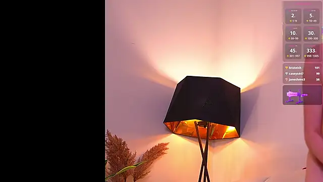 VallieBrandwein's cam snapshot