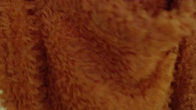 larawet's cam snapshot