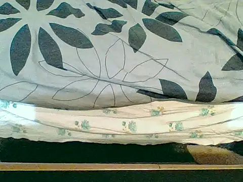 Tiger202441's cam snapshot