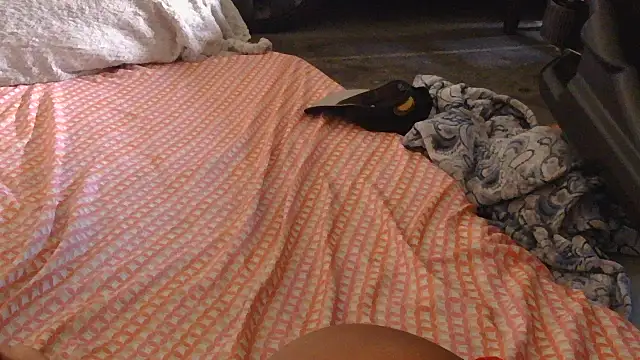 Gmajor's cam snapshot