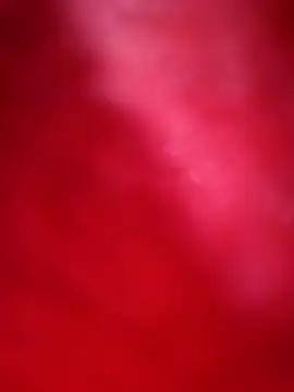 Pariraja_hot's cam snapshot