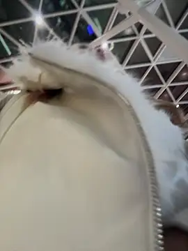 AnastasiaAniess's cam snapshot