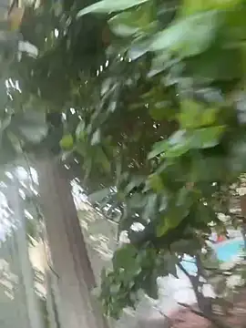 allybluee777's cam snapshot