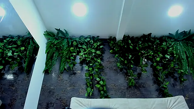 alice_greco's cam snapshot