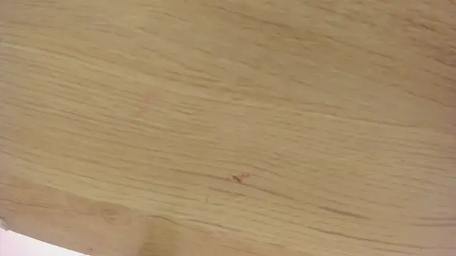 karina_mason's cam snapshot