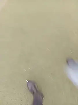 sophie_banger live sex cam