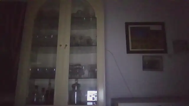 llopaco's cam snapshot