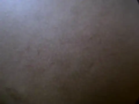 sexyguy1231 live sex cam