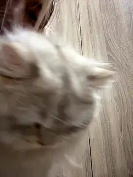 Ella_Charm's cam snapshot