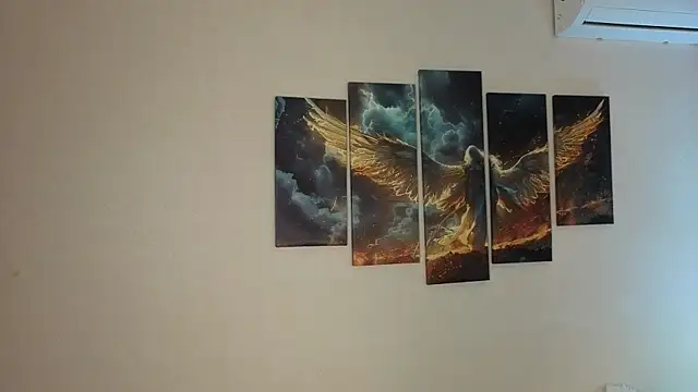 VeniceMostrom's cam snapshot