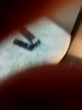 Porco81cazzo live sex cam