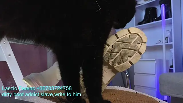 CruelSiren's cam snapshot