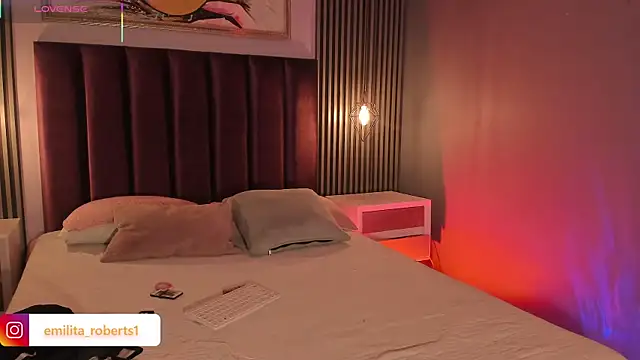 emily_roberts1's cam snapshot