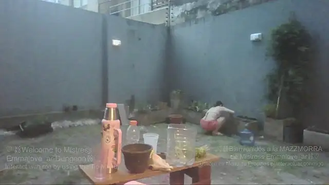 argeisha's cam snapshot