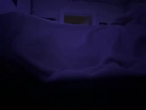 prplbunni's cam snapshot