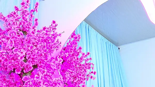 AlliciaKim's cam snapshot