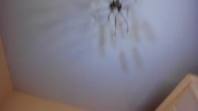 LisaColee's cam snapshot