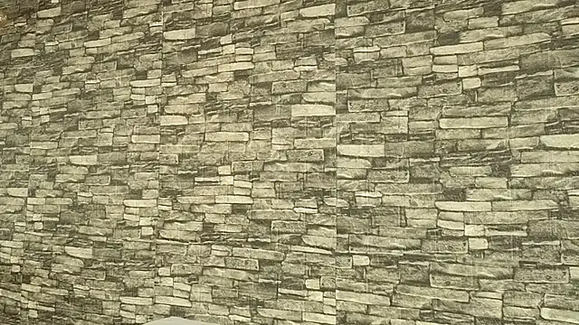 TokyoSky's cam snapshot