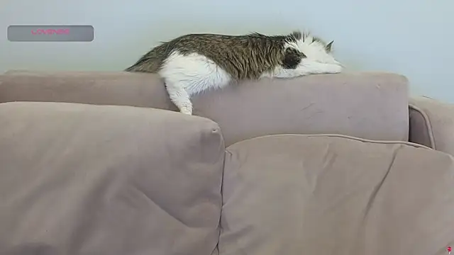 gertanord's cam snapshot