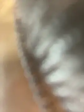 say-hi2 live sex cam