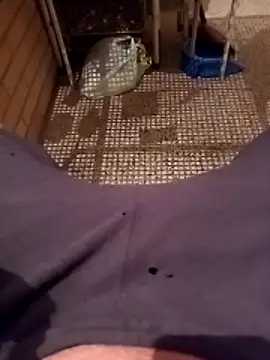 SO-UNICO's cam snapshot