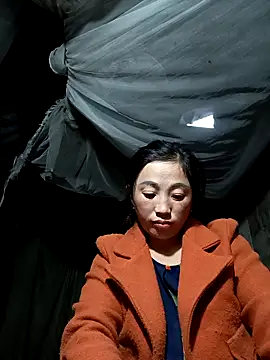 seacyre's cam snapshot