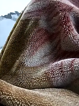 Hornyboy7489's cam snapshot