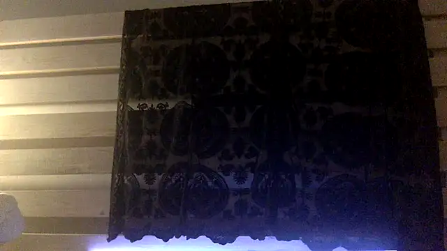 Palinchik's cam snapshot