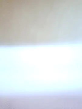 carol406's cam snapshot