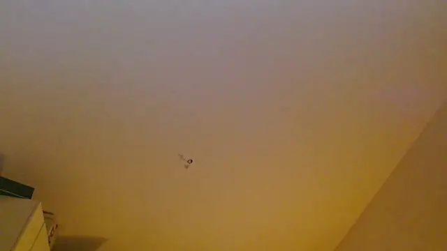 Regina_5's cam snapshot