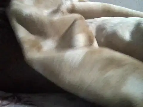 dicksosmall's cam snapshot