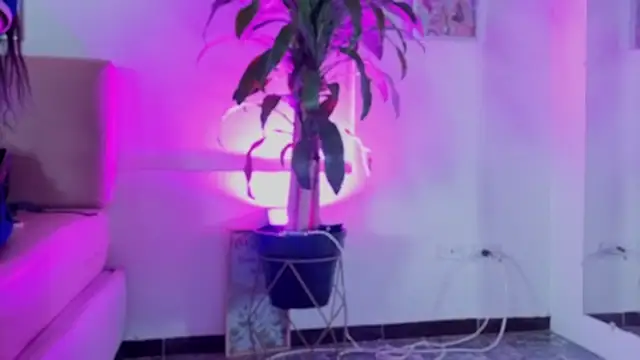 Im_Perlaa_ live sex cam