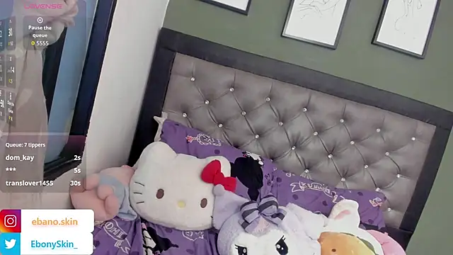 EbonySkin live sex cam