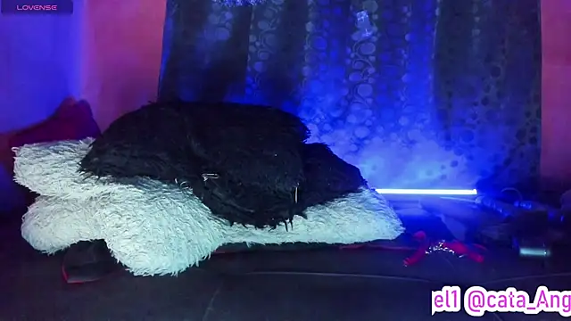 Cata-angel's cam snapshot