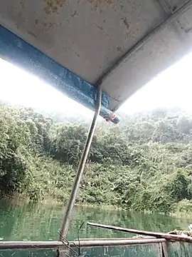 Comb-bii's cam snapshot