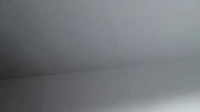 miamiamuse's cam snapshot