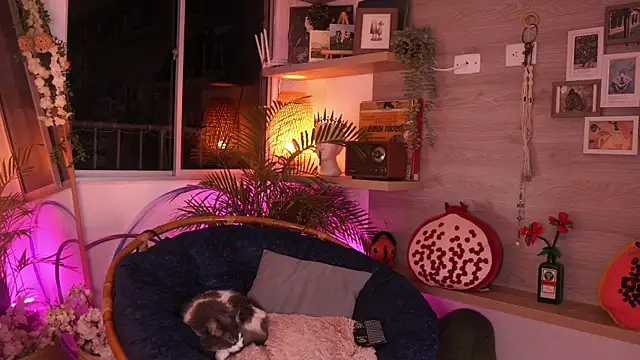 DearMorgan live sex cam