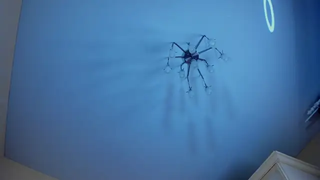 LisaColee's cam snapshot