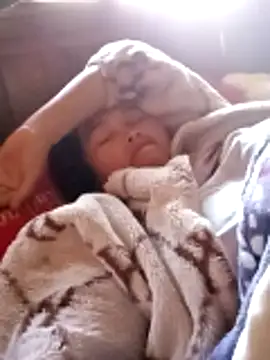 maple694's cam snapshot