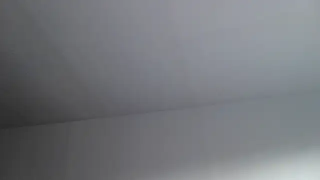 miamiamuse's cam snapshot