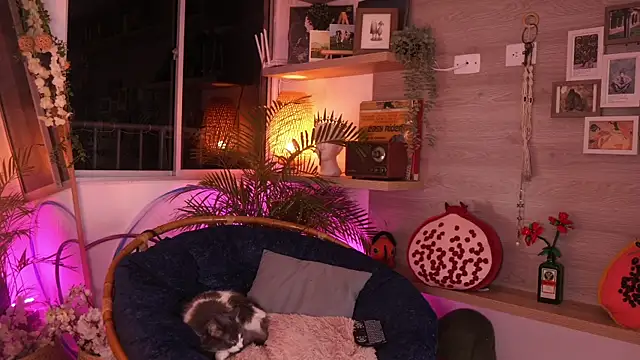 DearMorgan's cam snapshot