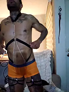 Chesarini's cam snapshot