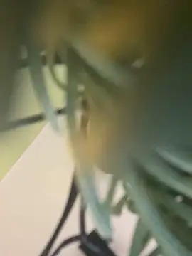 Natalee_Love live sex cam