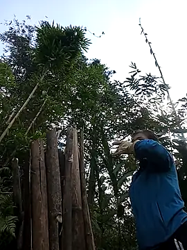 cogaisexy's cam snapshot