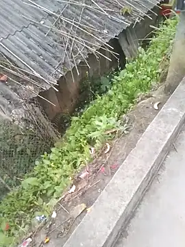 beny8800's cam snapshot