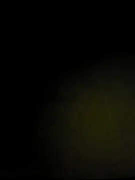 Gamecoc's cam snapshot