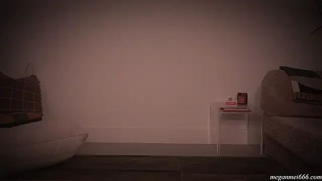 meganmei666's cam snapshot