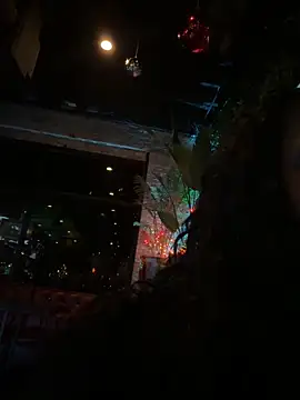 TilaTotti live sex cam