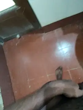 smallbunnies's cam snapshot