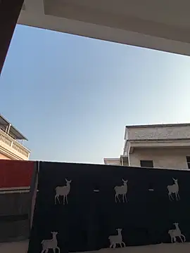 daaqnn's cam snapshot